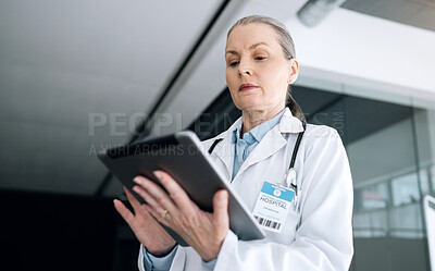 Buy stock photo Woman, doctor and tablet in research, communication or Telehealth for results or networking at hospital. Female person, healthcare or medical surgeon working on technology for online search at clinic