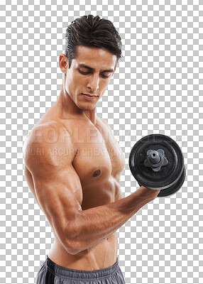 Buy stock photo Fitness, man and muscle with dumbbell in hand for training, exercise or workout isolated on transparent png background. Bodybuilder, person and strong for wellness, gym and body in studio with abs