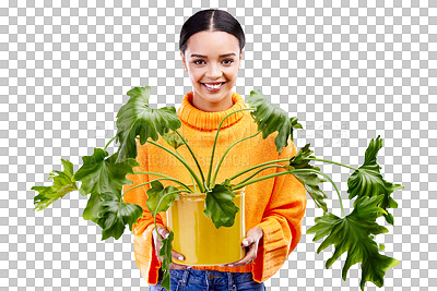 Portrait of happy woman on blue background with plant, smile and happiness with house plants in studio. Gardening, sustainable green hobby and gen z girl in mockup space for eco friendly garden shop.