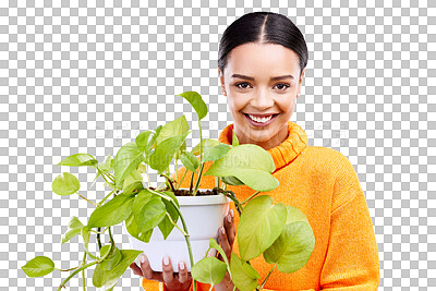 Face of woman in studio with plant, smile and happiness in house plants on blue background. Gardening, sustainable green hobby and portrait of happy gen z girl in mockup for eco friendly garden shop.