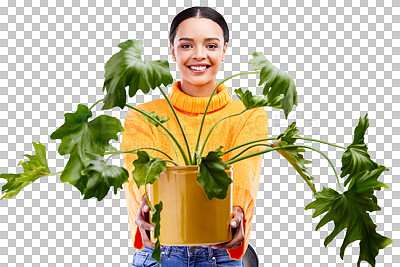 Portrait of happy woman in studio with plant gift, smile and happiness with house plants on blue background. Gardening, sustainable green hobby and gen z girl in mockup space for eco friendly present