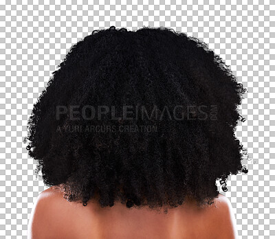 Natural hair, black woman with afro and beauty, haircare and cosmetics with back on studio background. Female, cosmetic treatment with curly hairstyle, rear view and texture with hygiene and grooming
