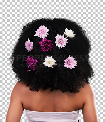 Hair care, back and beauty of black woman with flowers in studio isolated on a brown background. Curly hairstyle, floral cosmetics and female model with salon treatment for organic growth and texture