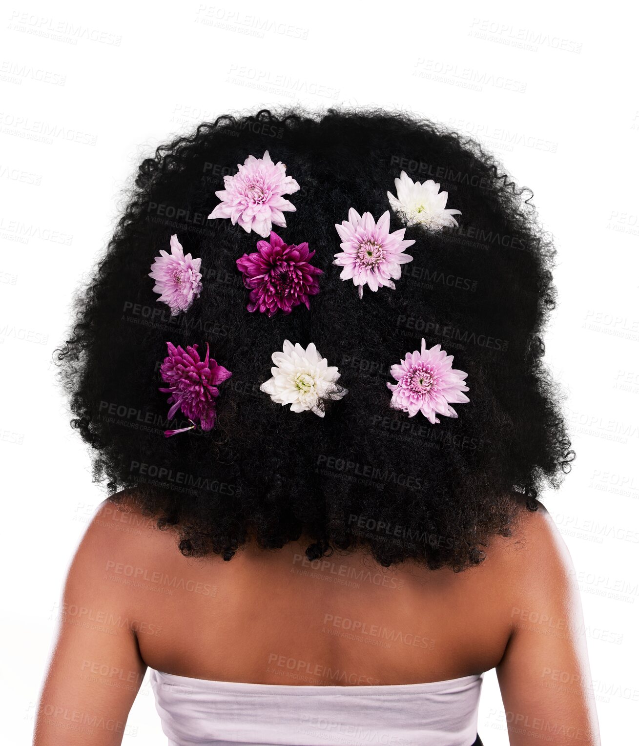 Buy stock photo Flowers in hair, woman with beauty and back view, afro and natural haircare wellness isolated on png transparent background. Nature, organic treatment and Spring, eco friendly cosmetics and texture