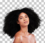 Black woman, portrait or afro hair on studio background for aesthetic empowerment, curly texture pride or skincare glow. Beauty model, face or natural hairstyle and makeup cosmetics on isolated wall 