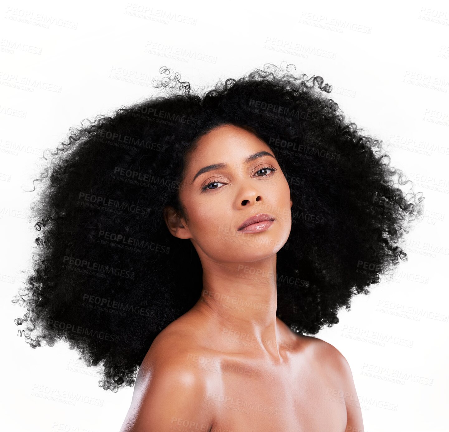Buy stock photo Portrait, hair and afro with a natural black woman isolated on a transparent background for shampoo treatment. Face, salon and a confident young model on PNG for beauty, luxury or keratin haircare
