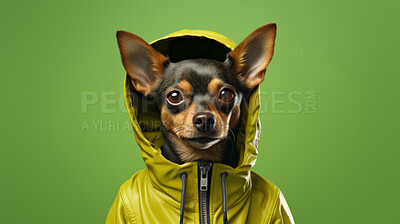 Portrait of dog wearing a jacket or raincoat on flat green background