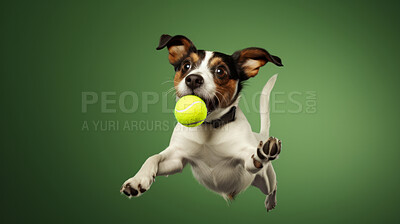Portrait of dog catching ball on green background. Dog leaping or jumping in air