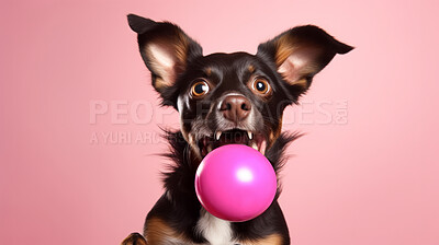 Buy stock photo Portrait of dog catching ball on pink background. Excited and playful pet