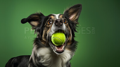 Buy stock photo Portrait of dog catching ball on green background. Excited and playful pet