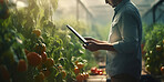 Farmer using a digital tablet in a field. Farming, agriculture and environmental technology