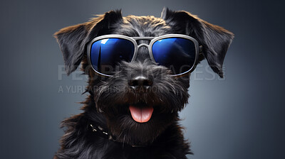 Buy stock photo Cool dog wearing sunglasses. Pet posing against a dark background