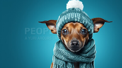 Dog wearing beanie cap and scarf. Portrait of pet dressed for autumn or winter