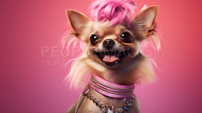 Buy stock photo Portrait of a dog wearing accessories. Groomed dog with pink hair