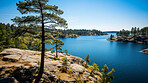 Mountain view of beautiful lake on a summer day. Forest, trees sunshine.