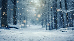 Winter snow background with snow-covered trees in the forest. Snow fall with bokeh