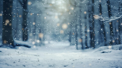 Winter snow background with snow-covered trees in the forest. Snow fall with bokeh