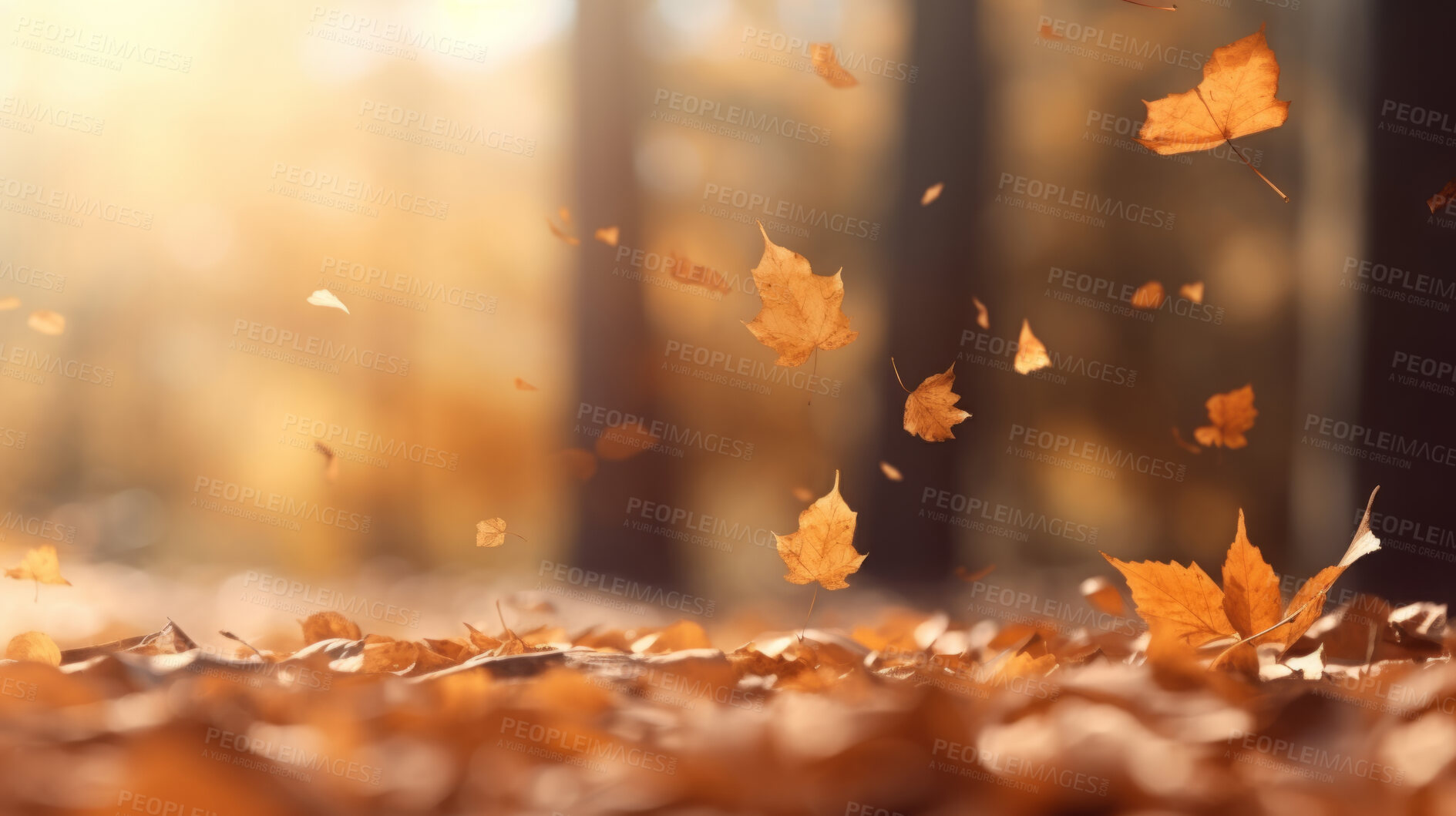 Buy stock photo Beautiful maple orange leaves in autumn season. Autumn colorful bright background