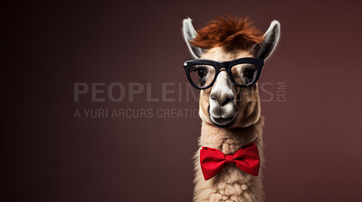 Llama wearing bow tie and glasses on dark background. Creative marketing campaign concept
