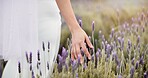 Hand, lavender flower and walking woman in garden or nature for calm, peace and aromatherapy from plants. Medicine, sustainability and person in a landscape with natural herbal ecology in spring