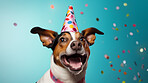 Portrait of a cute dog wearing a party hat for birthday celebration