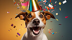 Portrait of a cute dog wearing a party hat for birthday celebration