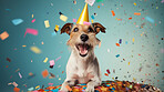 Portrait of a cute dog wearing a party hat for birthday celebration