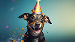 Portrait of a cute dog wearing a party hat for birthday celebration