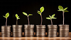 Plants growing on a pile of coins. Finance, banking and investment concept.