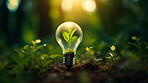 Green eco friendly lightbulb. Environmental Sustainability, Green energy and Earth Day