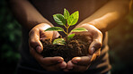 Close Up Plant in hands. Care of the Environment. Sustainability concept