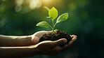 Close Up Plant in hands. Care of the Environment. Sustainability concept