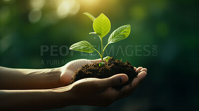 Close Up Plant in hands. Care of the Environment. Sustainability concept