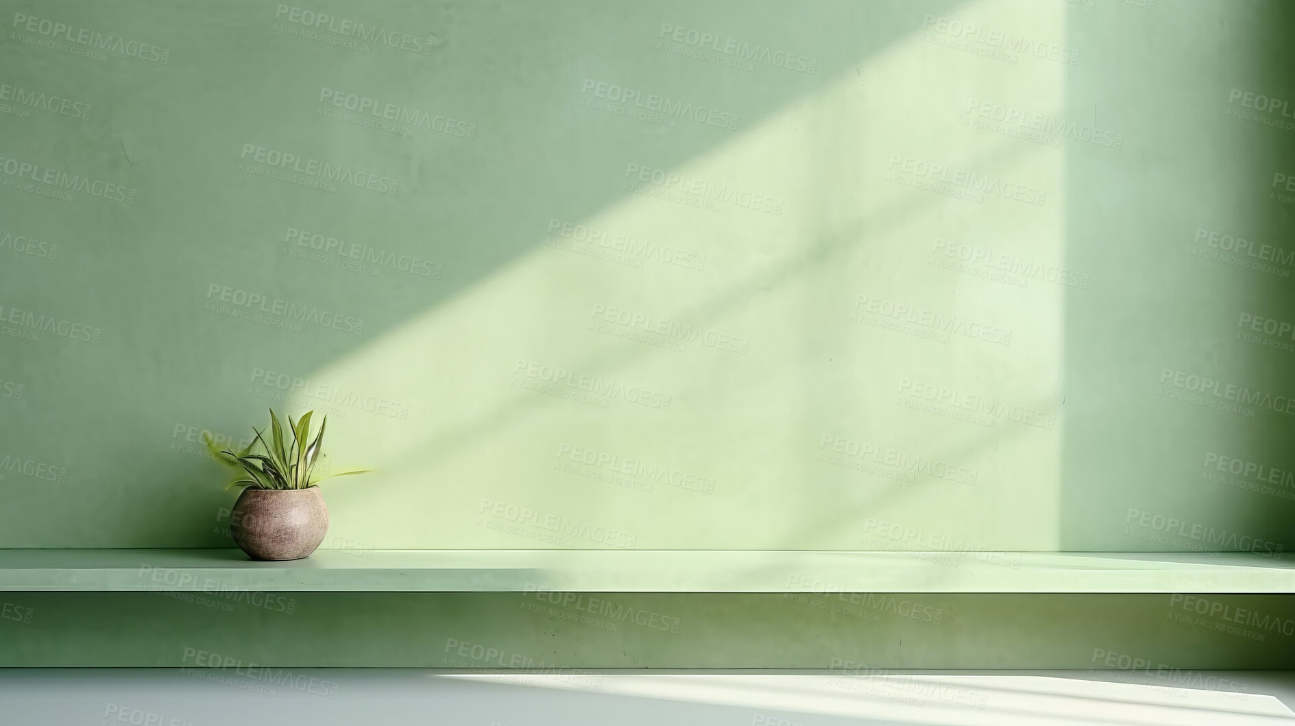 Buy stock photo Green empty wall with shadows and light. Minimal abstract background for product presentation