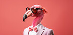 Flamingo wearing glasses and suit for office style or business against a pink background