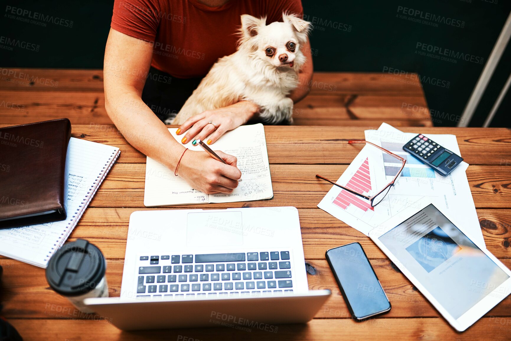 Buy stock photo High angle shot of an unrecognizable businesswoman sitting with her pet dog and writing in her notebook