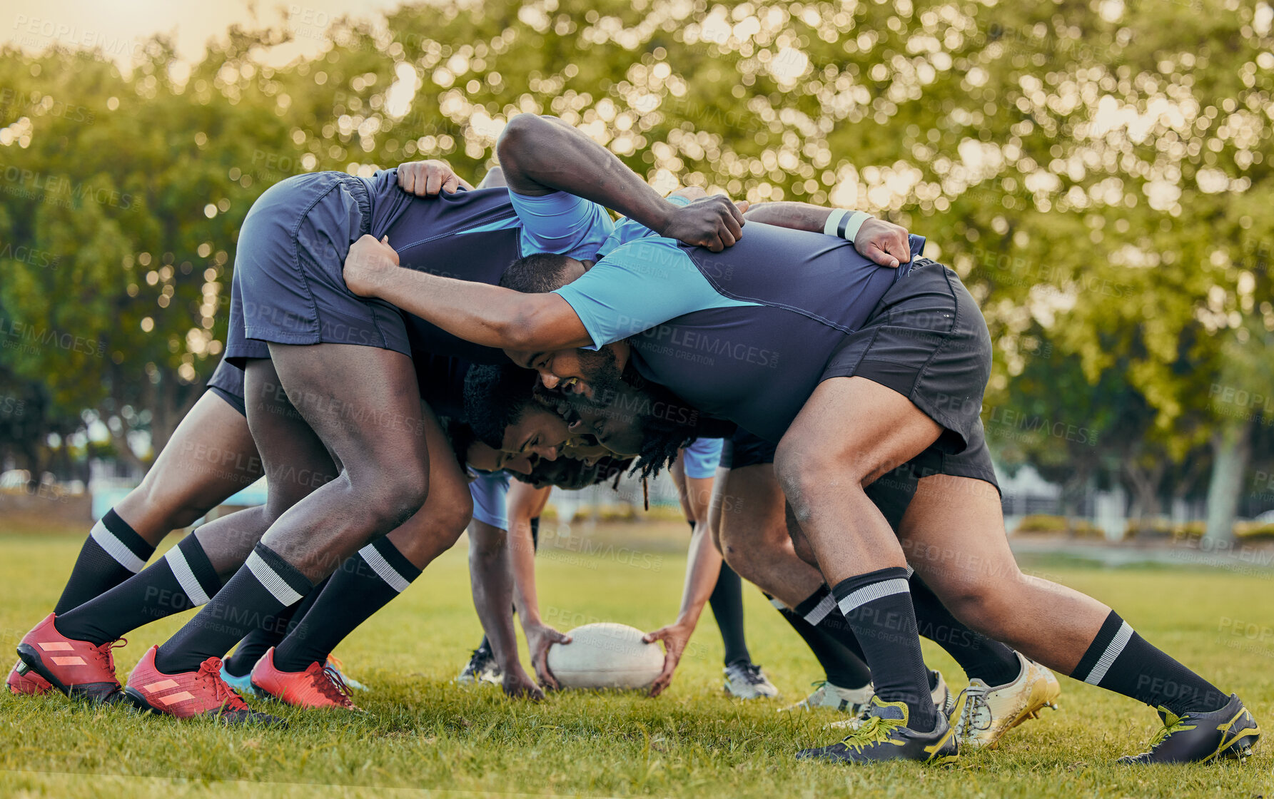 Buy stock photo Scrum, sports and men playing rugby, catching a ball and preparing for a game on the field. Ready, together and competitive players scrumming for the start of a sport competition with contact