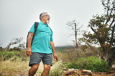 Buy stock photo Hiking, mountain and senior man in nature, countryside or exercise in woods for fitness, cardio health or wellness. Retirement, workout and person walking in forest, environment or relax in landscape