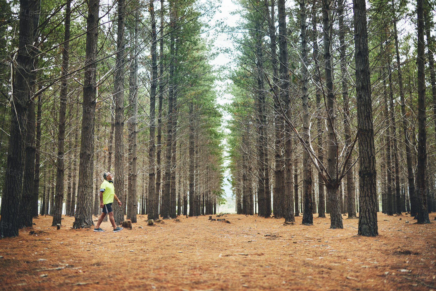 Buy stock photo Senior man, exercise walk and woods in profile, training and outdoor for wellness in retirement. Mature person, fitness or workout for health, hiking and freedom in forest, countryside or nature park