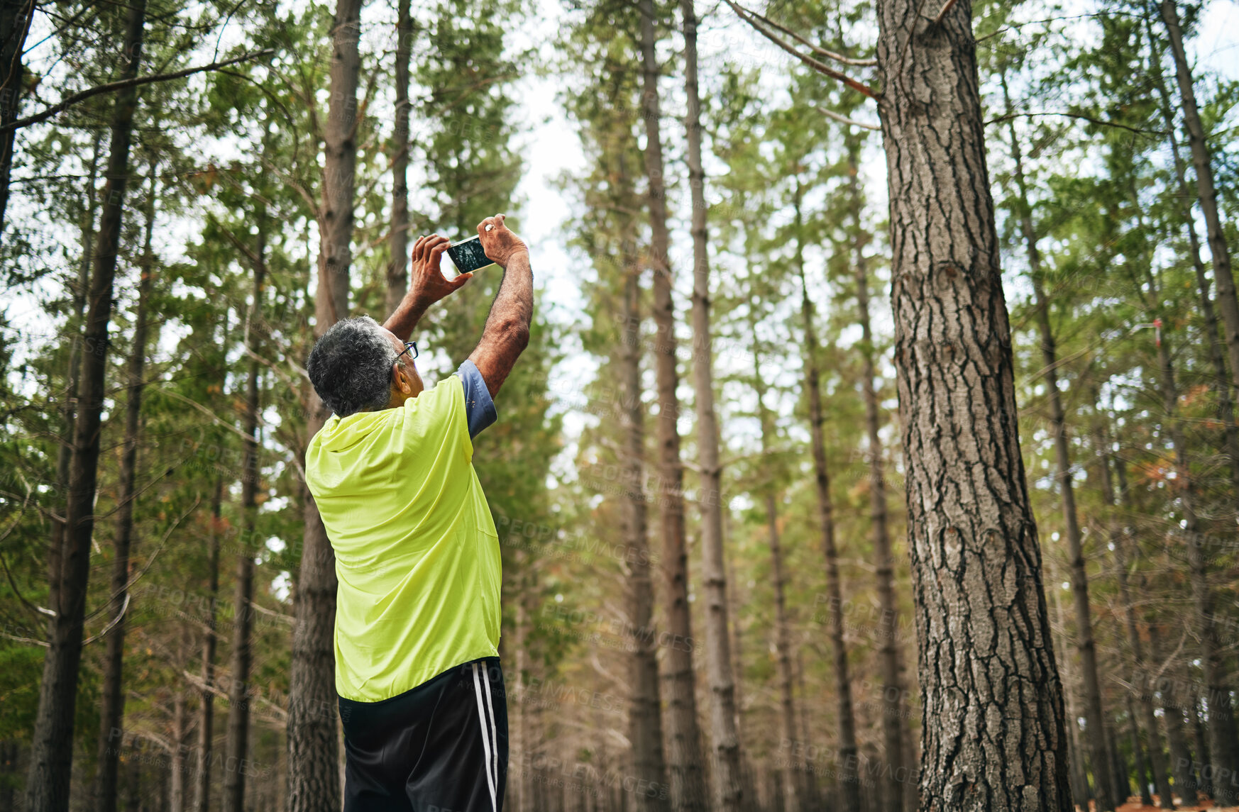 Buy stock photo Man, phone photography and trees in woods for art, social media post or memory on walk, hiking or adventure. Senior photographer, back and smartphone for nature, sustainable forest and countryside