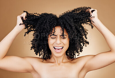 Buy stock photo Woman screaming, hair crisis and beauty fail, salon treatment regret and frustrated isolated on studio background. Haircare disaster, damage with pain, afro growth or texture mistake with stress 