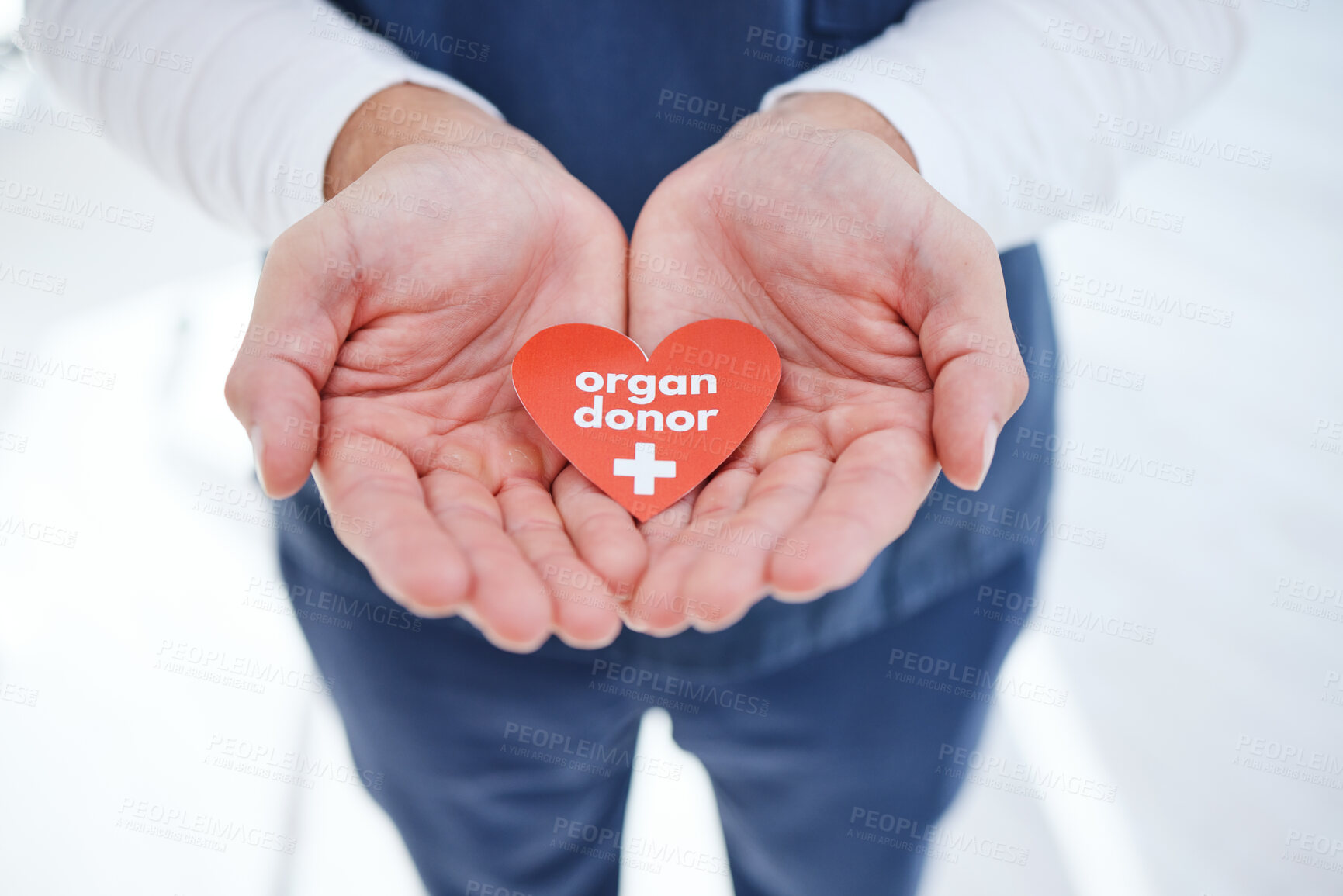 Buy stock photo Doctor, hands and heart for organ donor, support and good deed for healthcare and medical service. Nurse, hospital and charity for help, transplant and sign for medicare, compassion and donation