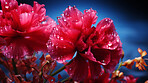 Close-up of colourful flowers on blue backdrop. Digital wallpaper concept.