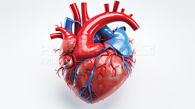 Cardiology health care medical education model. Healthy heart concept.