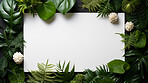 A frame of tropical leaves around a white empty space. Copy space concept.