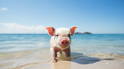 Buy stock photo Piglet on the beach. Travel and tourist attraction. Good life concept