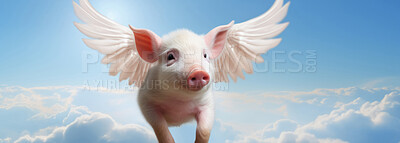 Buy stock photo Pig with wings flying in blue sky. Idiom concept for unlikely event.