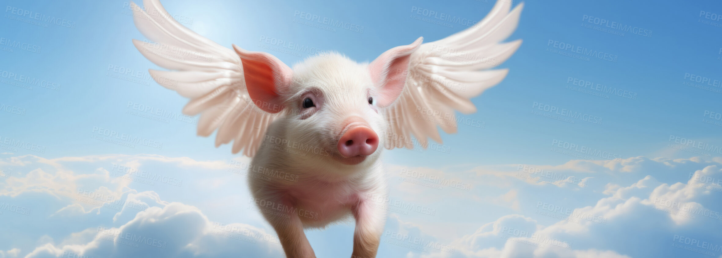 Buy stock photo Pig with wings flying in blue sky. Idiom concept for unlikely event.