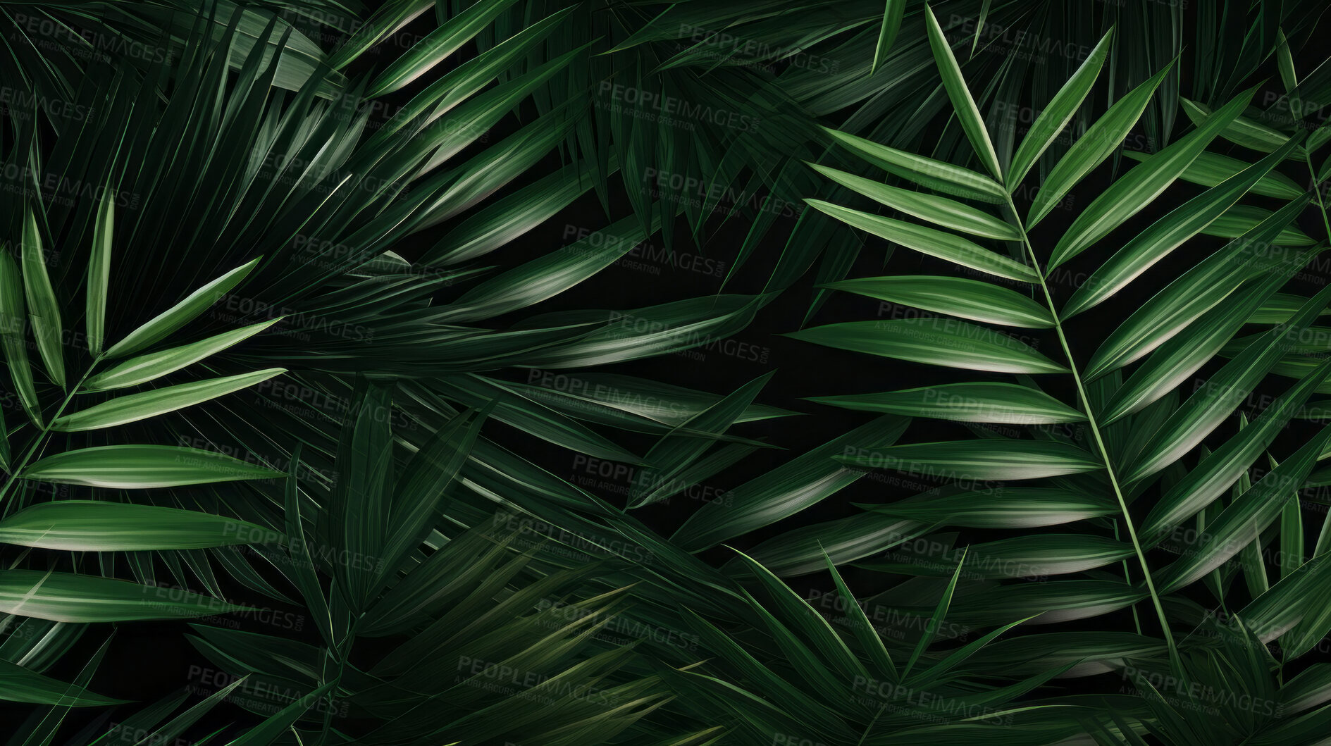 Buy stock photo Green tropical background with Palm leaves or jungle plants for summer and your design