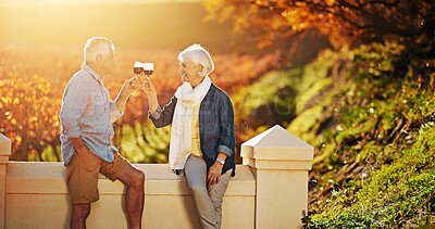 Buy stock photo Shot of a happy senior couple enjoying a glass of wine while exploring a vineyard